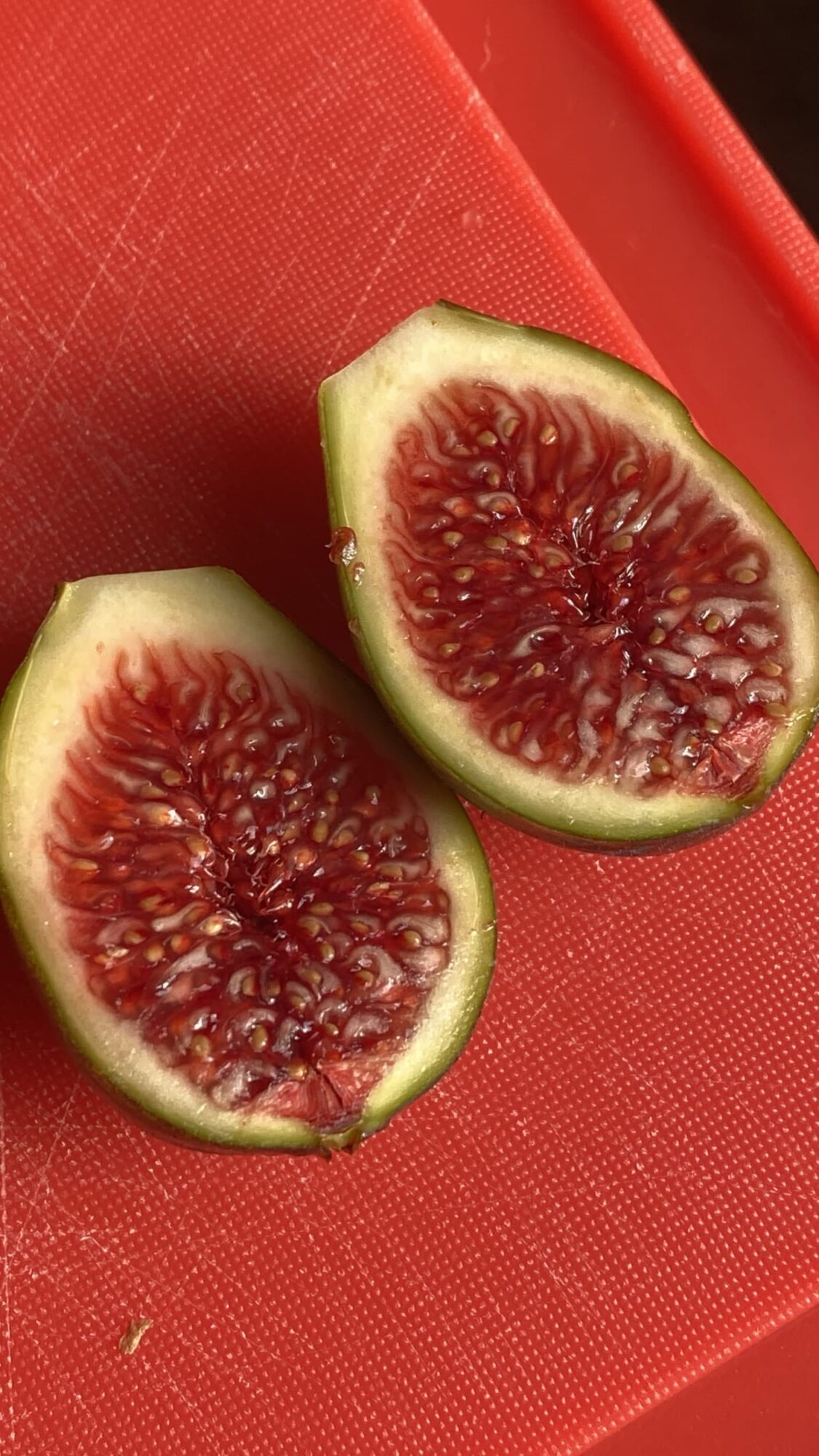 Lampeira 1
